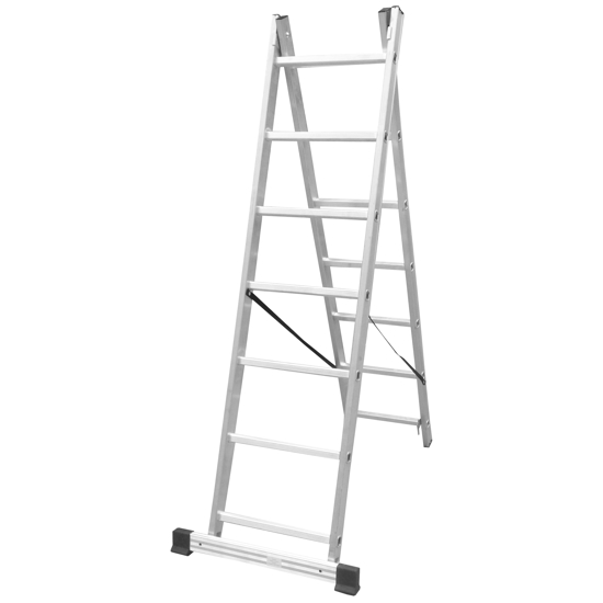 Picture of Aldotrade ladder al two -piece professional 2x10