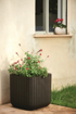 Picture of Keter flower pot Cube Planter M