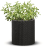 Picture of Keter flower pot cylinder planter with