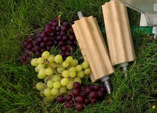 Picture of A set of crumbs rollers on grapes