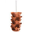 Picture of Floral cascade 4 part. terracotta
