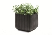 Obrázek z květináč Cube M 50,5L Antracit 